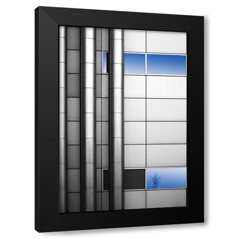 Blue Flower Black Modern Wood Framed Art Print with Double Matting by Kienitz, Bastian