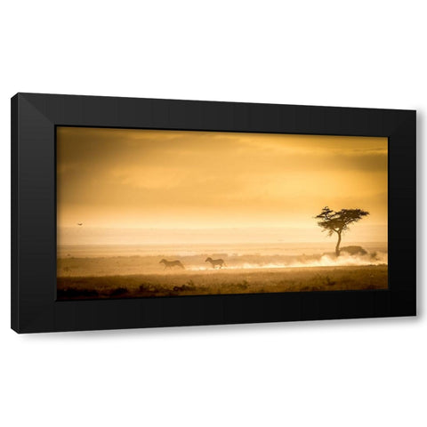 Training, Because The Lions Await. Black Modern Wood Framed Art Print with Double Matting by C. Sink, Jeffrey