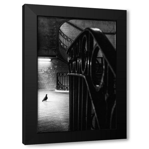 Big Bird In A Small Cage Black Modern Wood Framed Art Print by Mexia, Laura