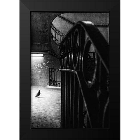 Big Bird In A Small Cage Black Modern Wood Framed Art Print by Mexia, Laura