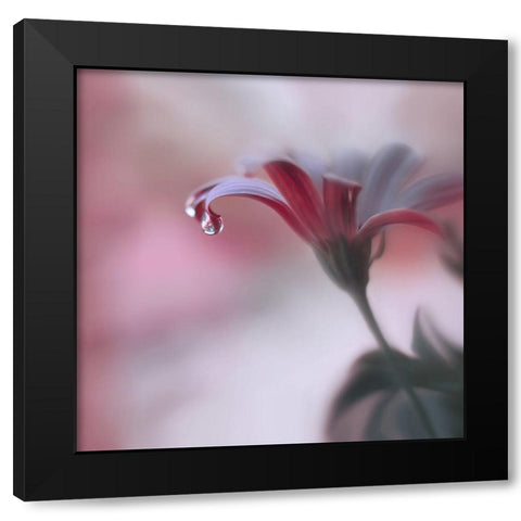 Invisible Touch... Black Modern Wood Framed Art Print by Nan, Juliana