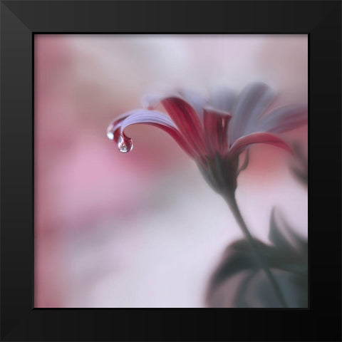 Invisible Touch... Black Modern Wood Framed Art Print by Nan, Juliana