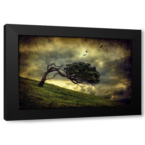 Winds Of Change Black Modern Wood Framed Art Print with Double Matting by Elgar, Peter