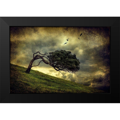 Winds Of Change Black Modern Wood Framed Art Print by Elgar, Peter