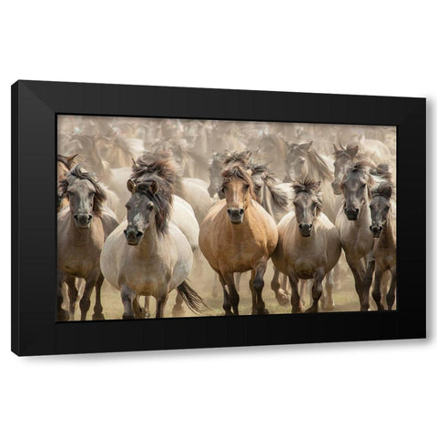 Gallop Black Modern Wood Framed Art Print by Uhlig, Dieter