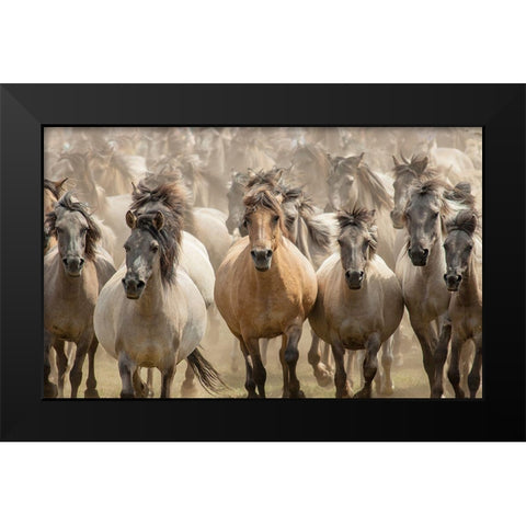 Gallop Black Modern Wood Framed Art Print by Uhlig, Dieter