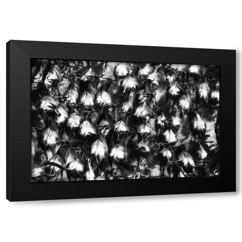 Great Escape Black Modern Wood Framed Art Print with Double Matting by Alnaser, Mohammed