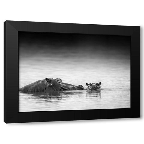 Eye Level Black Modern Wood Framed Art Print by Marx, Jaco