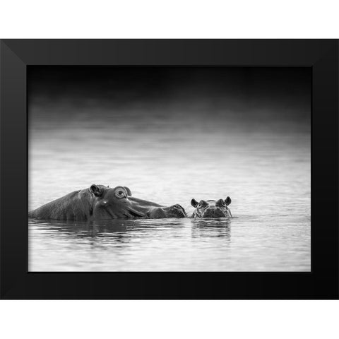 Eye Level Black Modern Wood Framed Art Print by Marx, Jaco