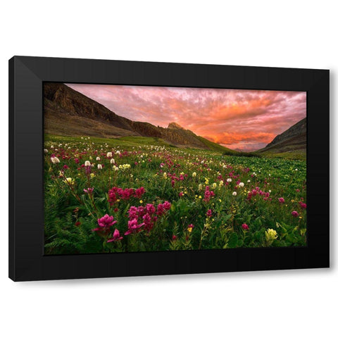 Carpet Of Wildflowers Black Modern Wood Framed Art Print by Xu, Mei