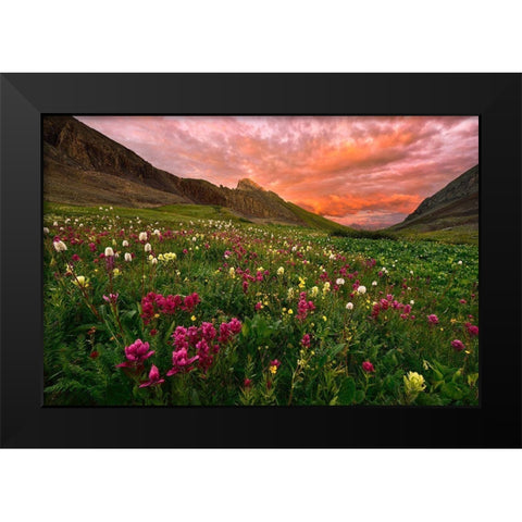 Carpet Of Wildflowers Black Modern Wood Framed Art Print by Xu, Mei