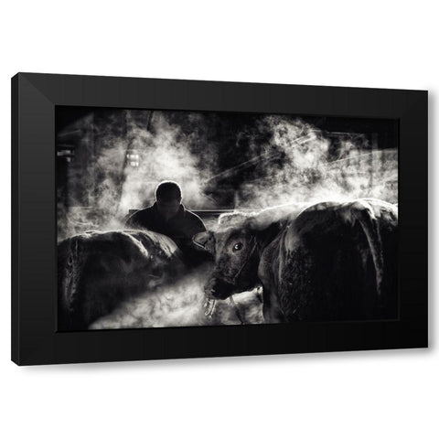 Farm Life Black Modern Wood Framed Art Print with Double Matting by Flour, Piet