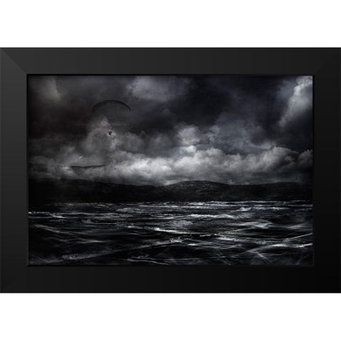 Free As A Bird Black Modern Wood Framed Art Print by Marthinussen, Willy