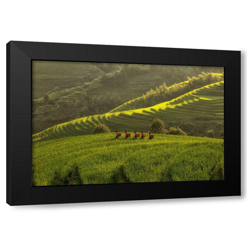 Five Ladies In Rice Fields Black Modern Wood Framed Art Print with Double Matting by Witjes, Max