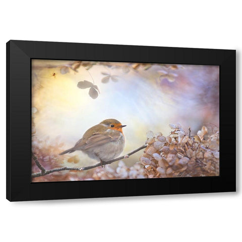 Robin On Dreams Black Modern Wood Framed Art Print by Teuni