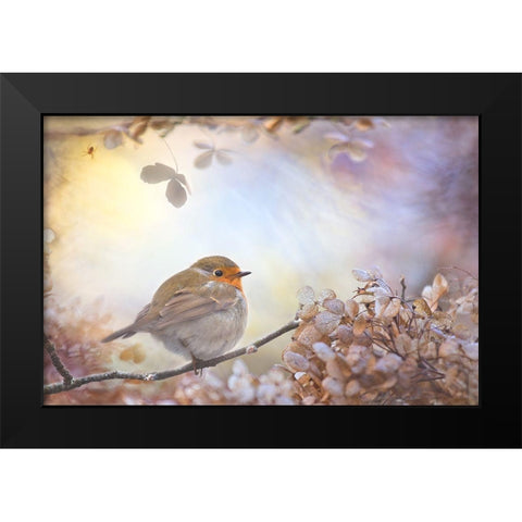 Robin On Dreams Black Modern Wood Framed Art Print by Teuni