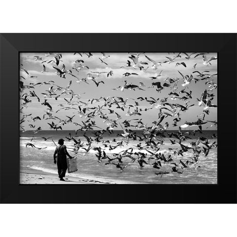 Birds Birds Black Modern Wood Framed Art Print by Van Der, Liesbeth