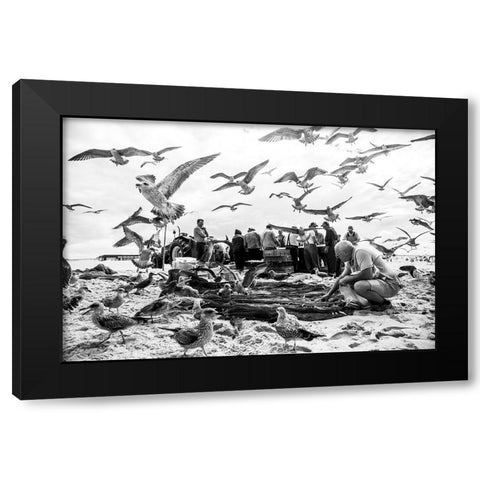 Birds Black Modern Wood Framed Art Print with Double Matting by van der, Liesbeth