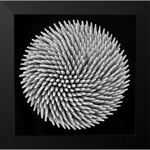 Hypnosis Black Modern Wood Framed Art Print by Toniolo, Giorgio