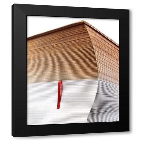 Bookmark Black Modern Wood Framed Art Print by Poleshchuk, Volodymyr