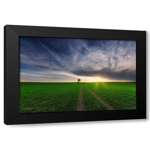 Loner In The Sun Black Modern Wood Framed Art Print with Double Matting by Krol, Piotr