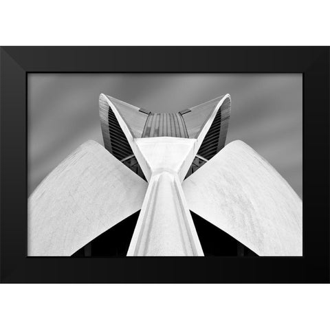 Calatrava Black Modern Wood Framed Art Print by Van Zaane, Alida