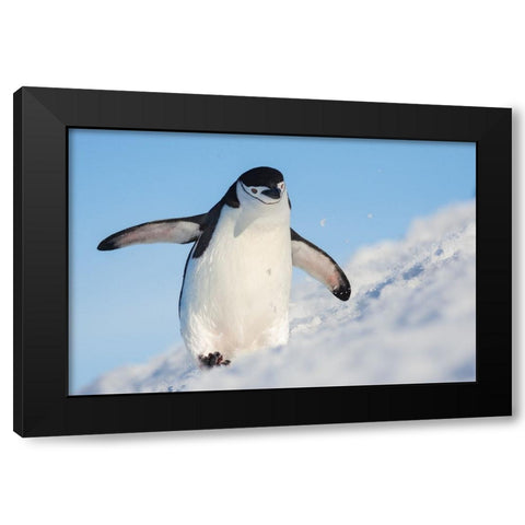 Running Up That Hill Black Modern Wood Framed Art Print by Breuker, Hillebrand