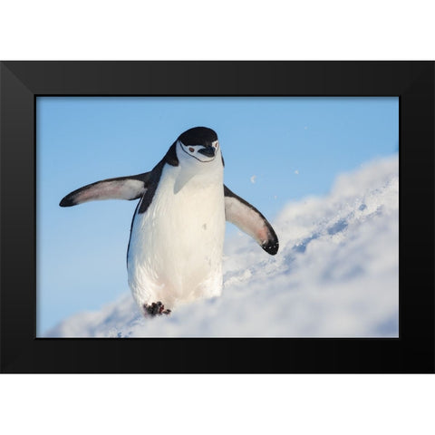 Running Up That Hill Black Modern Wood Framed Art Print by Breuker, Hillebrand