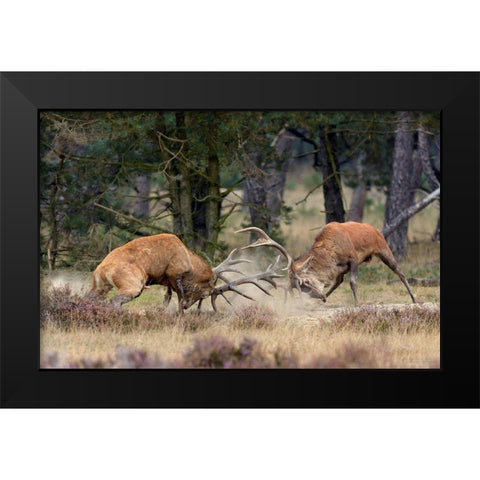 Clash Of The Titans Black Modern Wood Framed Art Print by Janssens, Roelof