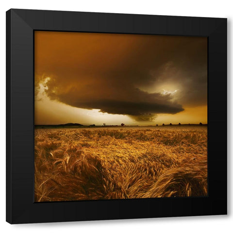 Spaetsommer Stimmung Black Modern Wood Framed Art Print with Double Matting by Schumacher, Nicolas