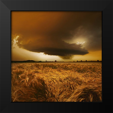 Spaetsommer Stimmung Black Modern Wood Framed Art Print by Schumacher, Nicolas