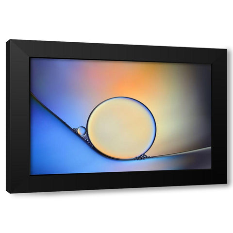 Oil And Water In Harmony Black Modern Wood Framed Art Print by Westum, Heidi