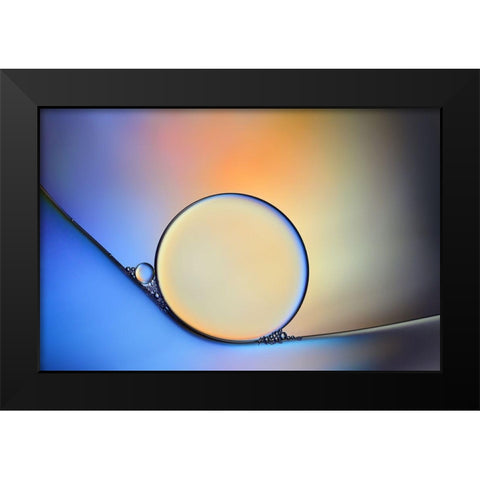 Oil And Water In Harmony Black Modern Wood Framed Art Print by Westum, Heidi