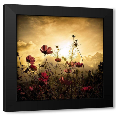 Watching The Sun Black Modern Wood Framed Art Print by Marcel, Christian