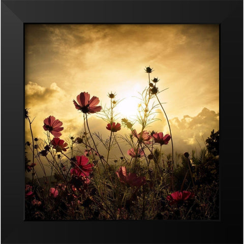 Watching The Sun Black Modern Wood Framed Art Print by Marcel, Christian