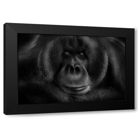 Maurice Black Modern Wood Framed Art Print with Double Matting by Wildkay