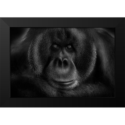 Maurice Black Modern Wood Framed Art Print by Wildkay