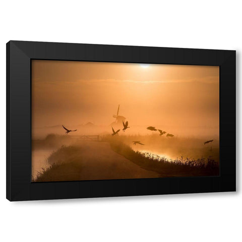 Sunrise Flight Black Modern Wood Framed Art Print with Double Matting by Klaverdijk, Harm