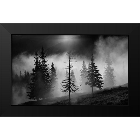 Misty Forest Black Modern Wood Framed Art Print by Oncete, Julien