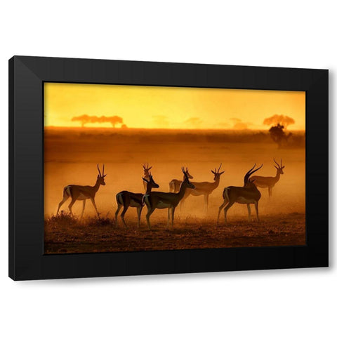 Golden Light Black Modern Wood Framed Art Print with Double Matting by Guillemot, Mathilde