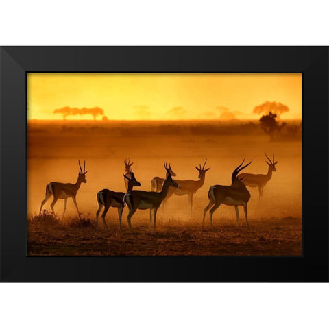 Golden Light Black Modern Wood Framed Art Print by Guillemot, Mathilde