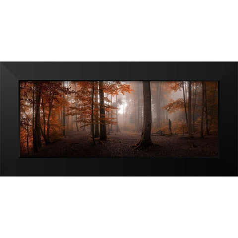 Autumn Black Modern Wood Framed Art Print by Meier, Tom