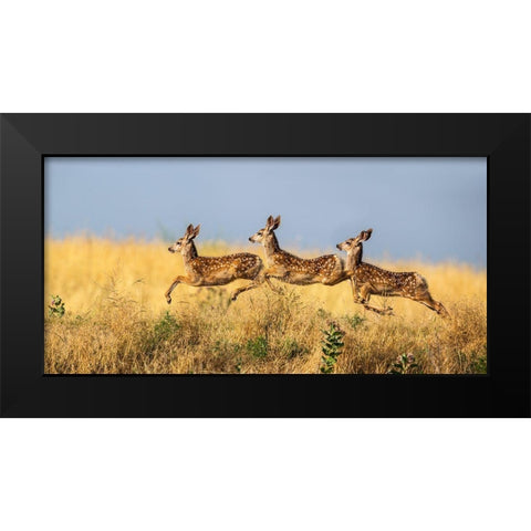 Tripple Jump Black Modern Wood Framed Art Print by Verdon