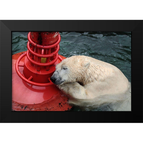 My Buoy A My Melon Black Modern Wood Framed Art Print by Wenner-Braun, Antje