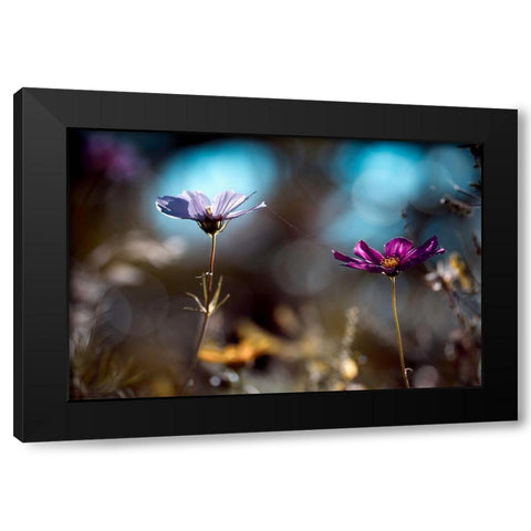 Le Lien Black Modern Wood Framed Art Print with Double Matting by Bravin, Fabien