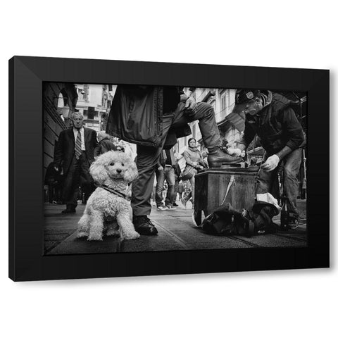 Antonio-Ultimo Lucidascarpe Di Napoli Black Modern Wood Framed Art Print with Double Matting by Grambone, Antonio