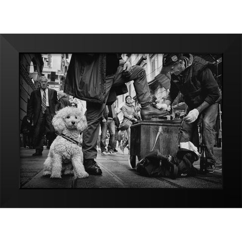 Antonio-Ultimo Lucidascarpe Di Napoli Black Modern Wood Framed Art Print by Grambone, Antonio