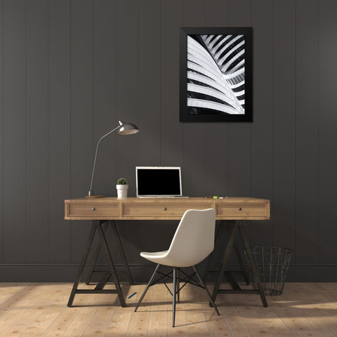 Battle Of The Curves Black Modern Wood Framed Art Print by Van De, Jeroen
