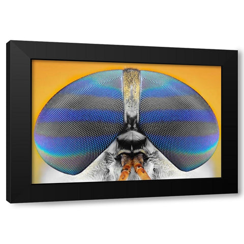 Untitled Black Modern Wood Framed Art Print with Double Matting by Jusa, Donald