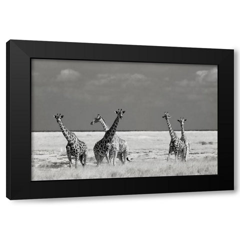 Look Girl Strange Animals Black Modern Wood Framed Art Print with Double Matting by Guillemot, Mathilde